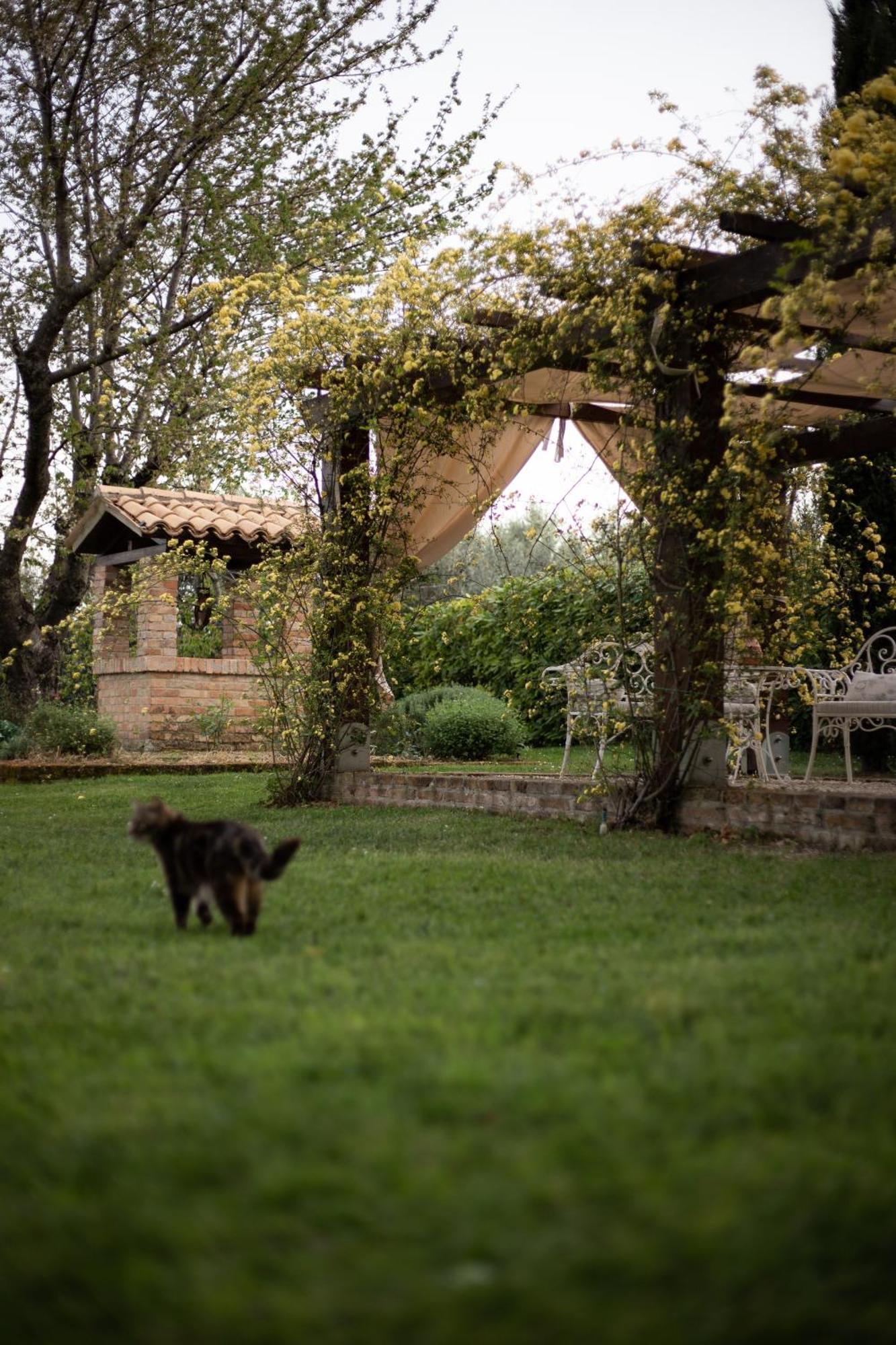 Ca' Le Cerque, Villa Surrounded By The Marche Nature Fossombrone Dış mekan fotoğraf