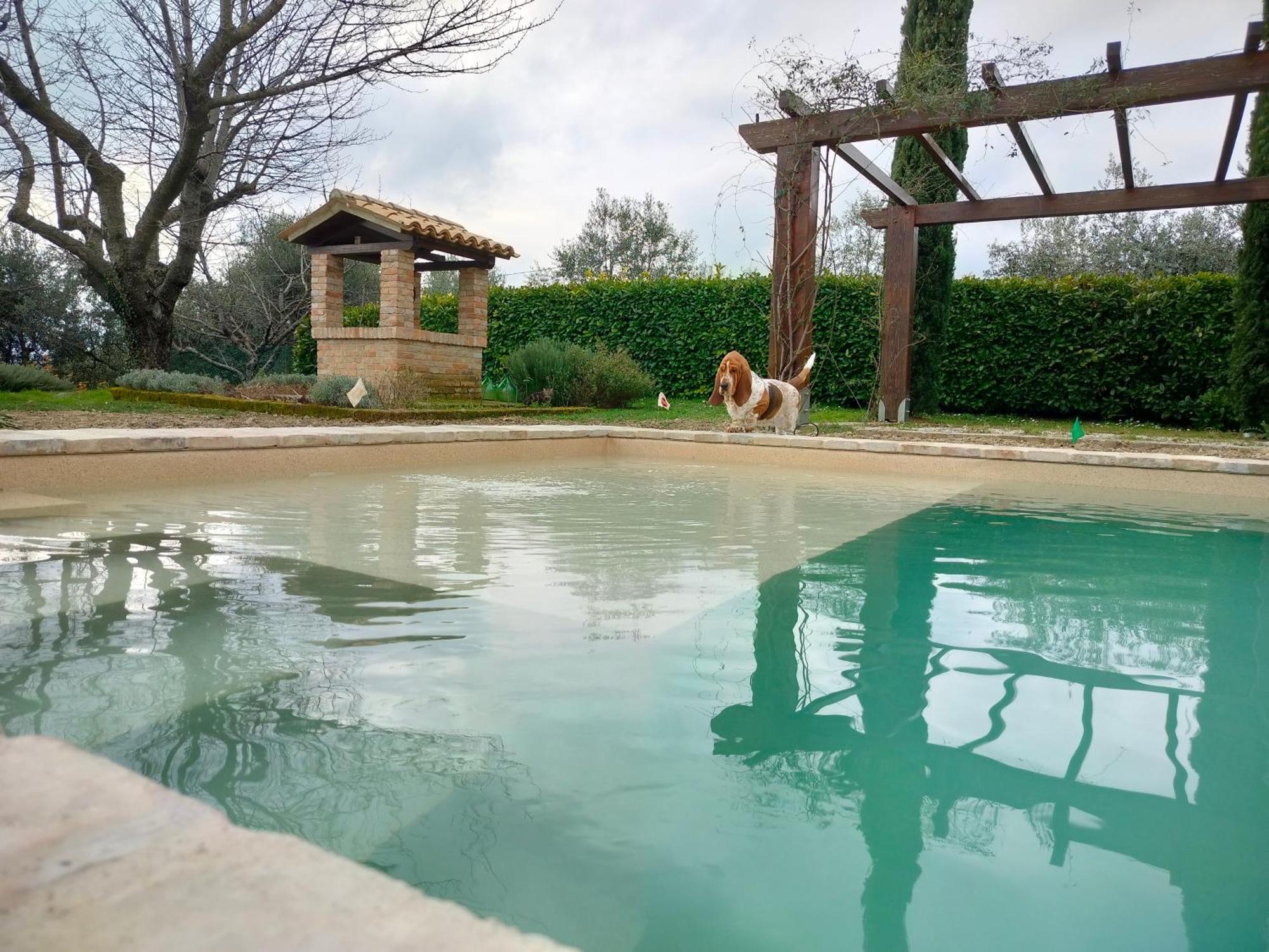 Ca' Le Cerque, Villa Surrounded By The Marche Nature Fossombrone Dış mekan fotoğraf